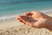 Lola 18K Gold-Filled Mini Cuban Link Chain C-Hoop Earrings held in hands at the beach