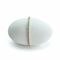Stella White Shell Background